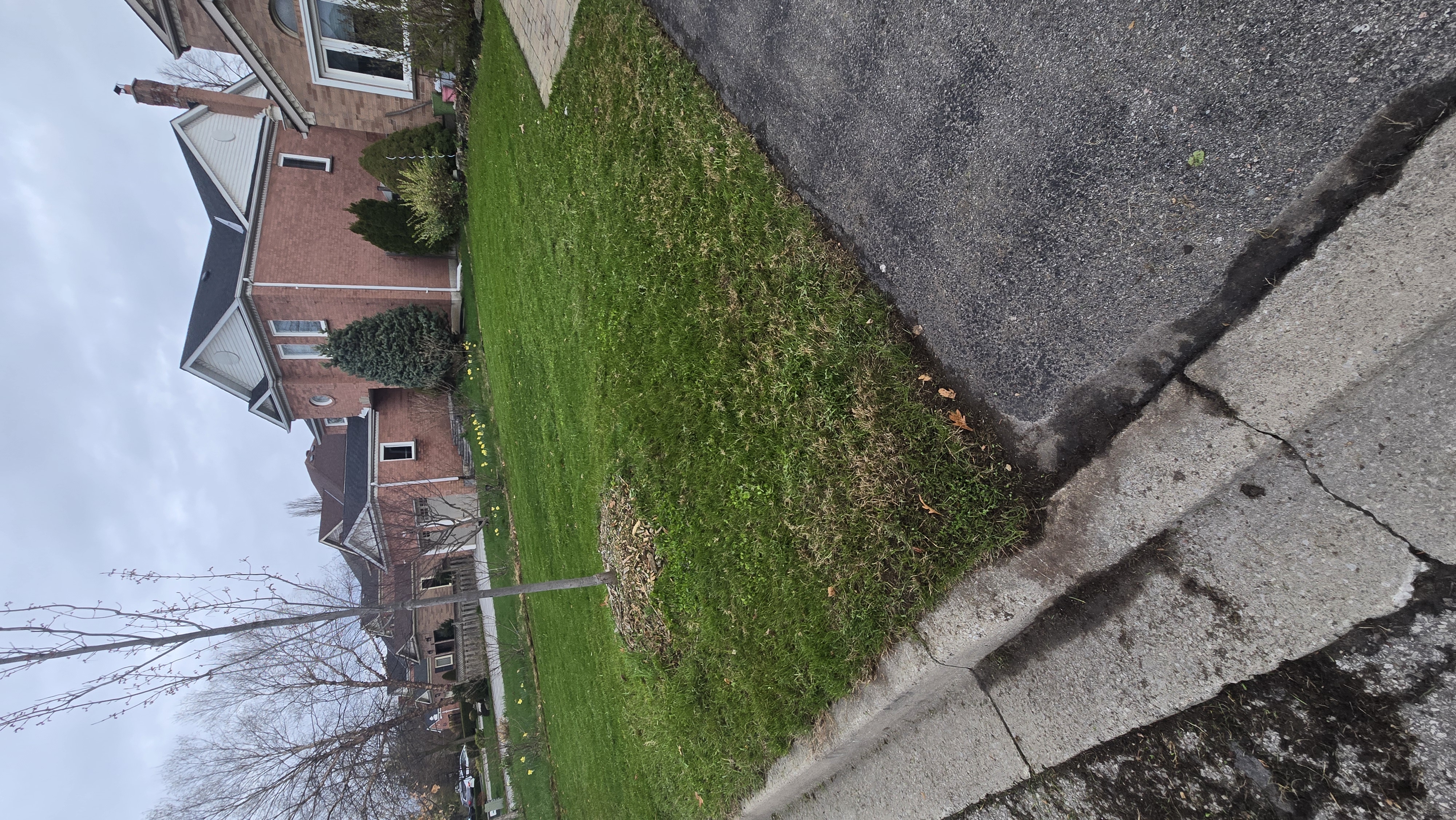 Front lawn maintenance
